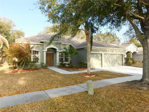 12902 Cattail Shore Lane Riverview FL 33579