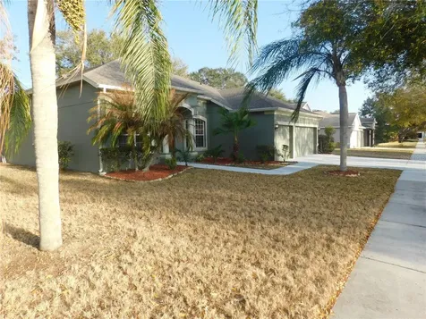 12902 Cattail Shore Lane Riverview FL 33579