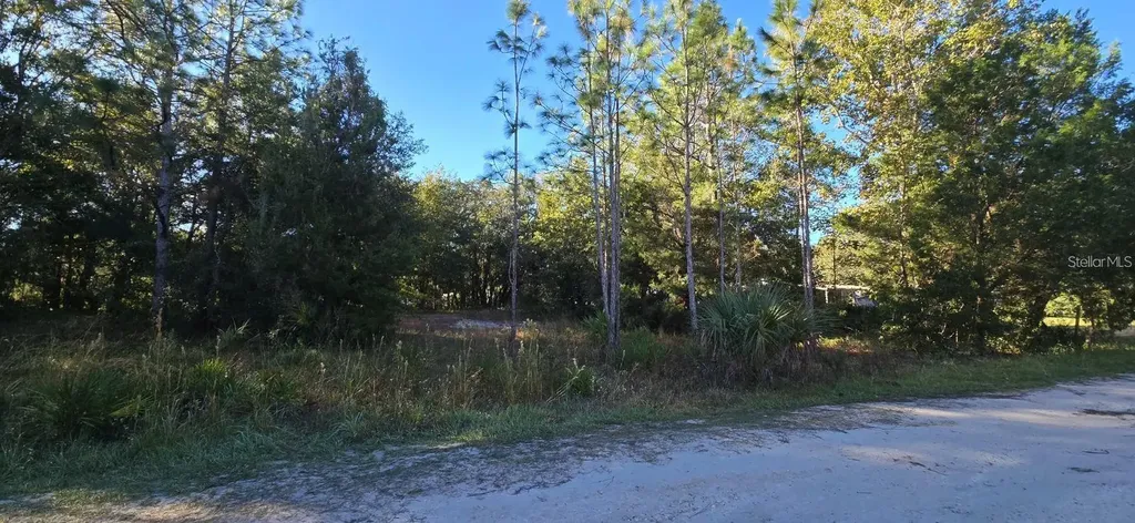 7784 W Twin Canal Lane Homosassa FL 34448