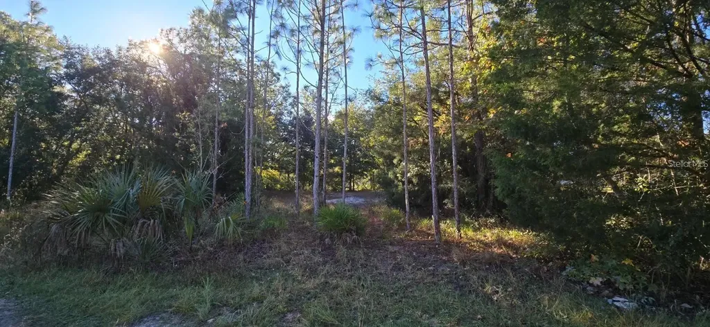 7784 W Twin Canal Lane Homosassa FL 34448