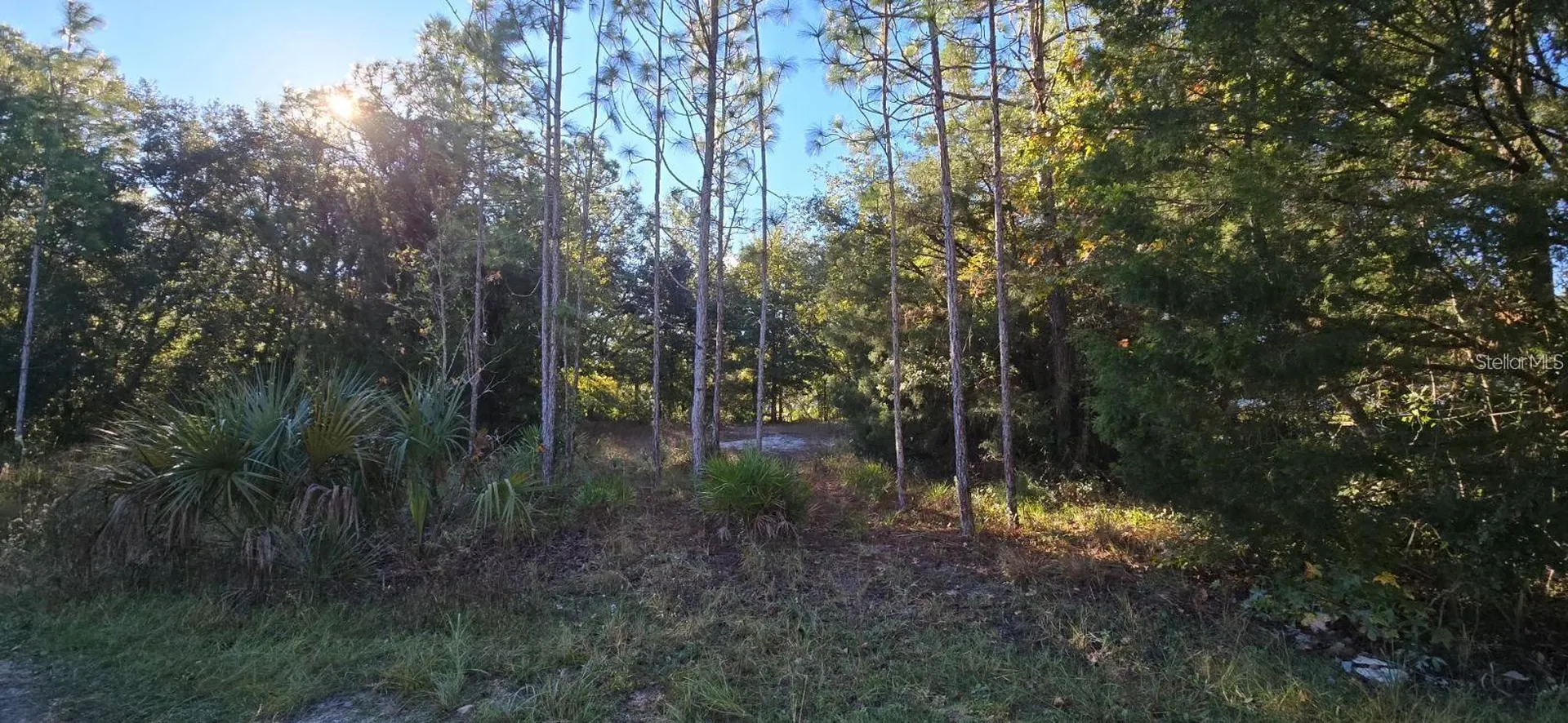 7784 W Twin Canal Lane Homosassa FL 34448