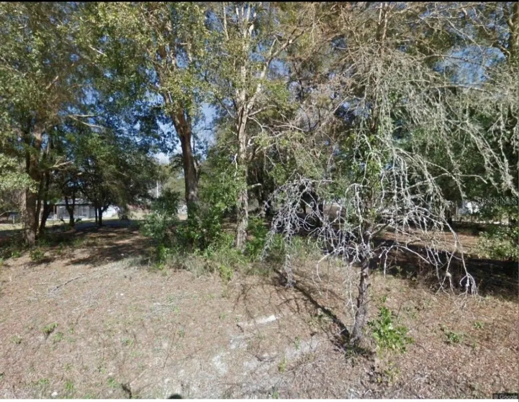 17449 NW 89th Terrace Fanning Springs FL 32693