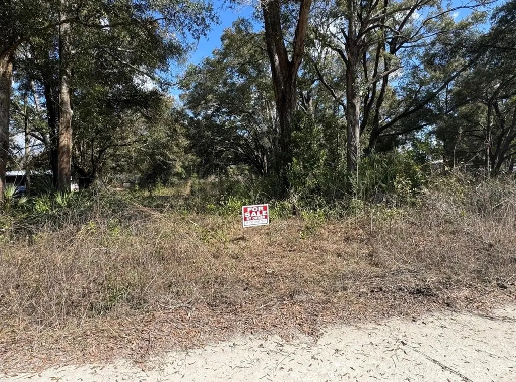 17449 NW 89th Terrace Fanning Springs FL 32693