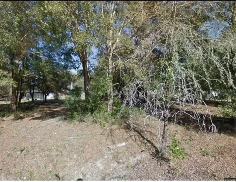17449 NW 89th Terrace Fanning Springs FL 32693