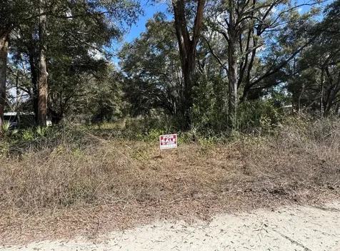 17449 NW 89th Terrace Fanning Springs FL 32693