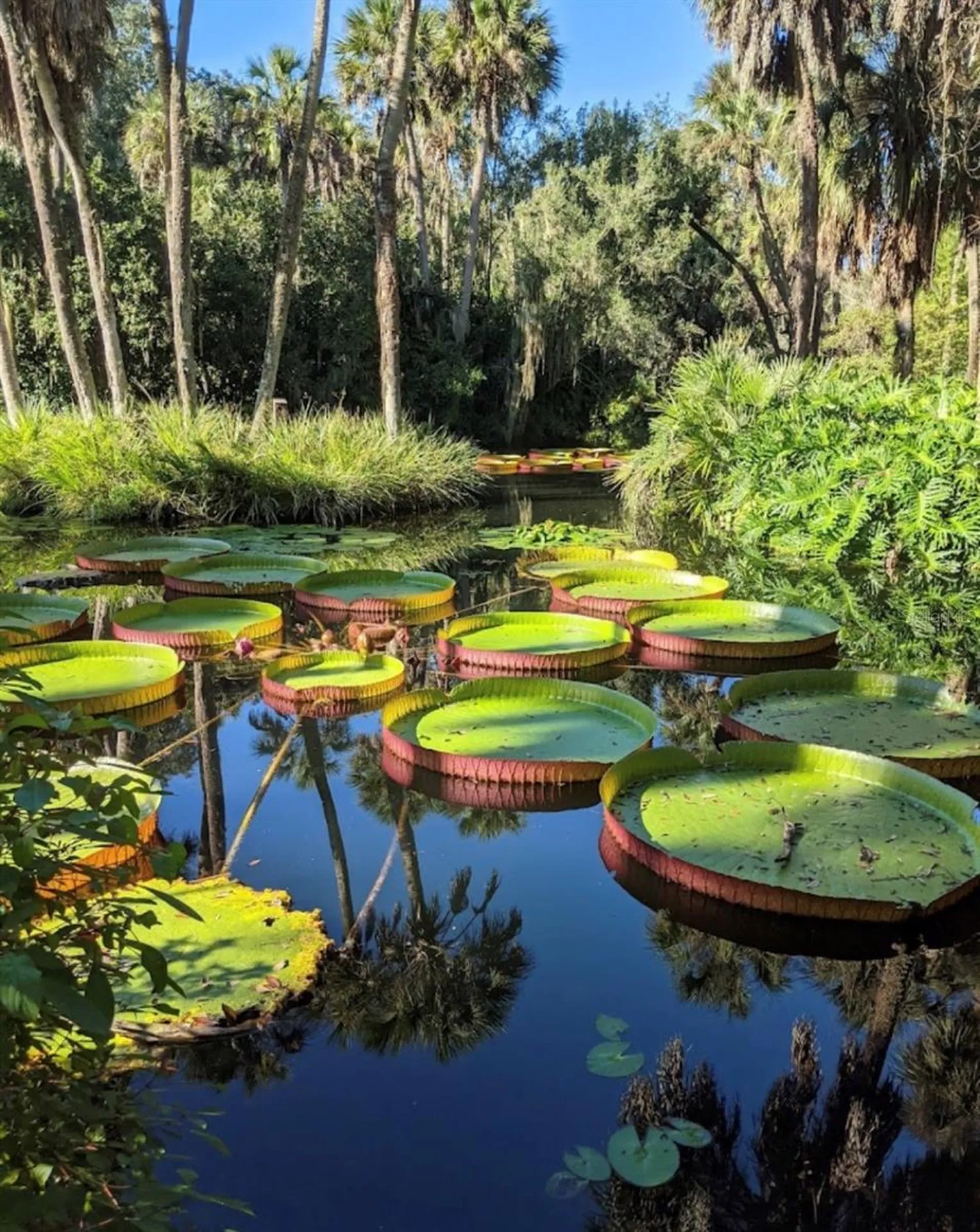 1429 Covington Court Lake Wales FL 33853
