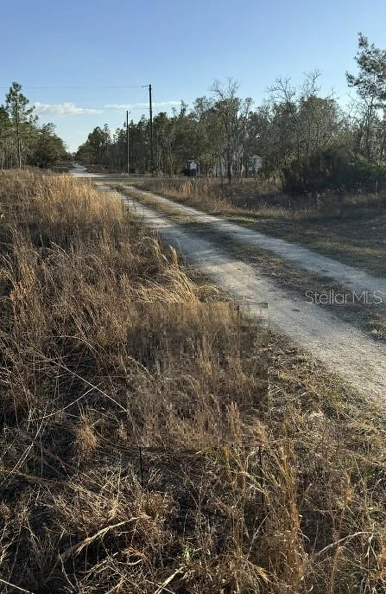 0 NE 151st Avenue Williston FL 32696