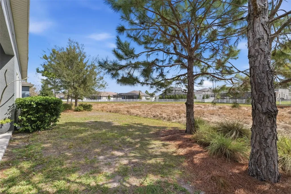 8130 Water Color Drive Land O Lakes FL 34638