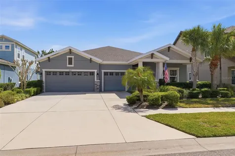 8130 Water Color Drive Land O Lakes FL 34638