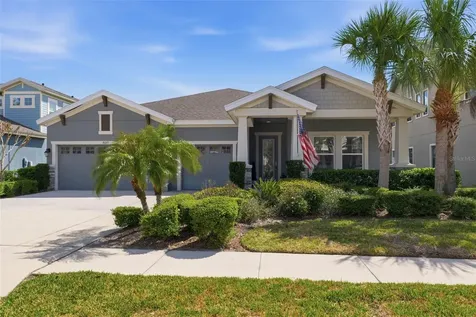 8130 Water Color Drive Land O Lakes FL 34638