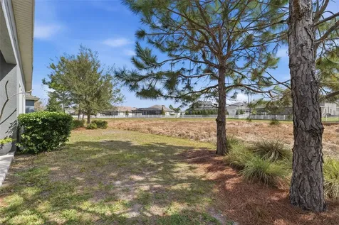 8130 Water Color Drive Land O Lakes FL 34638