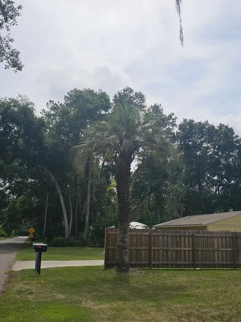 903 NW 33rd Avenue Gainesville FL 32609