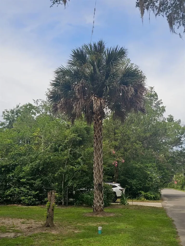 903 NW 33rd Avenue Gainesville FL 32609