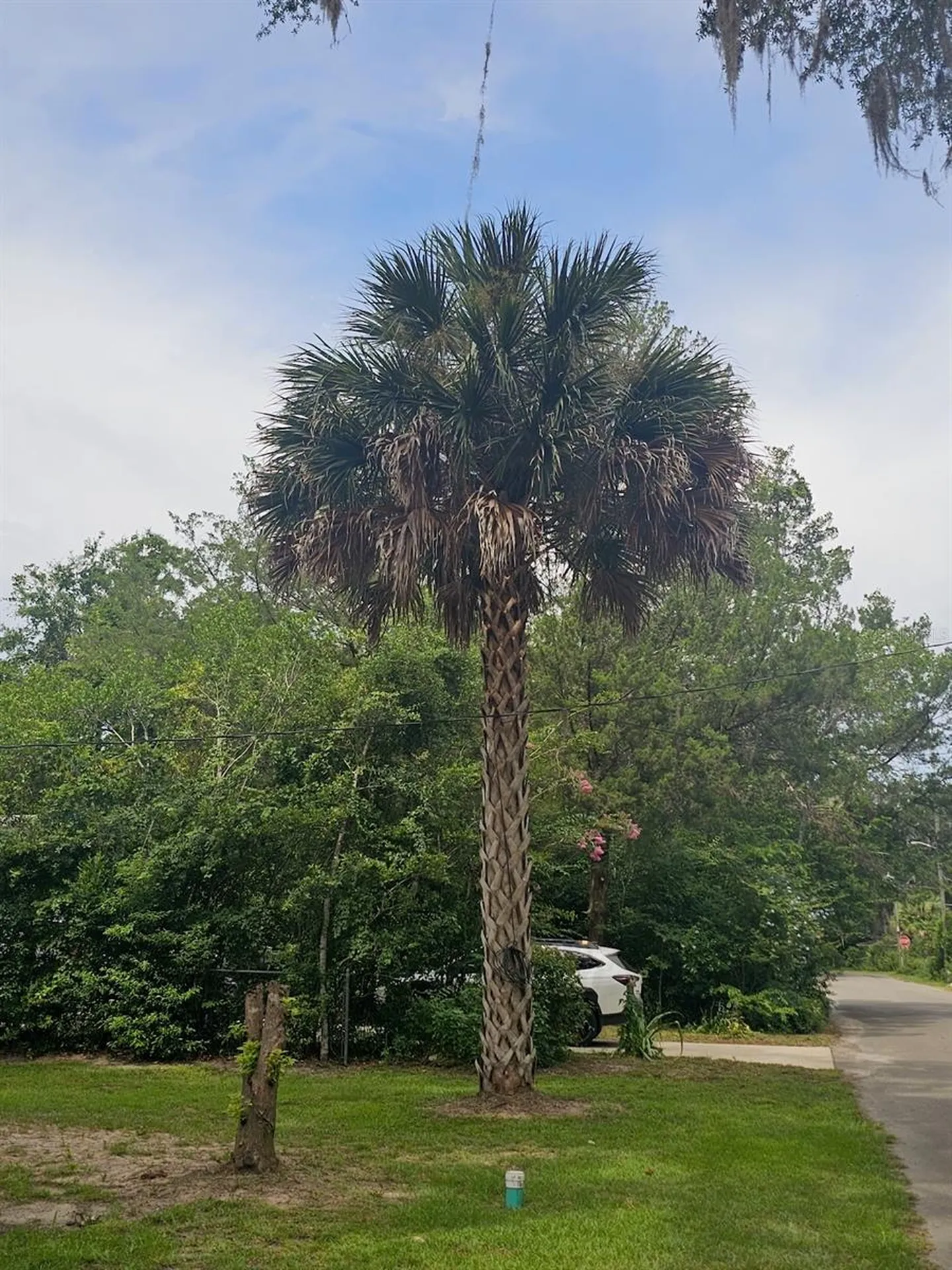 903 NW 33rd Avenue Gainesville FL 32609
