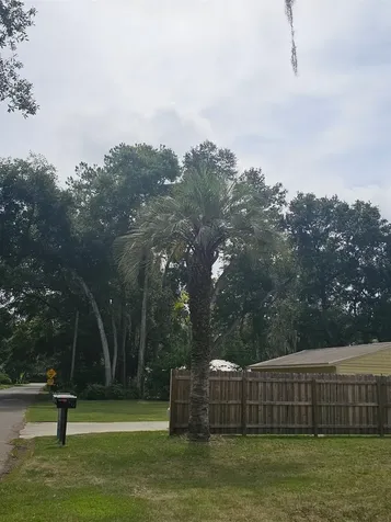 903 NW 33rd Avenue Gainesville FL 32609