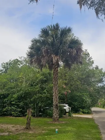 903 NW 33rd Avenue Gainesville FL 32609