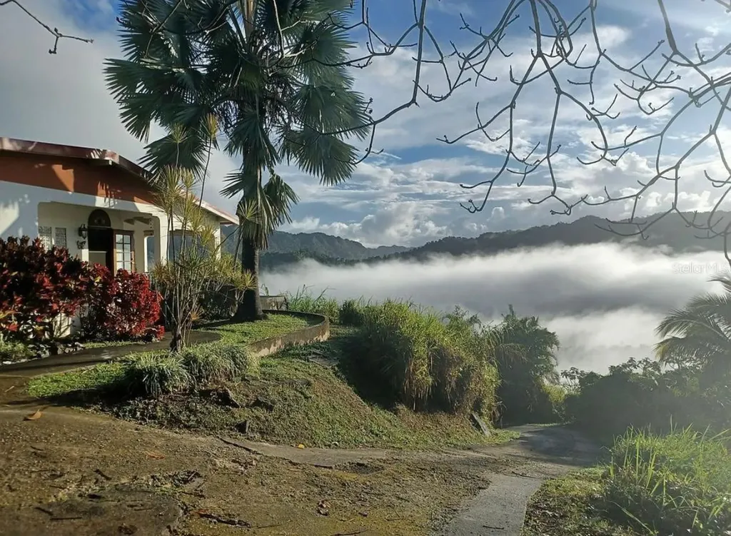 612 Street Bo. Don Alonso Sector Bujosa Utuado PR 00641