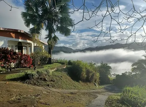 612 Street Bo. Don Alonso Sector Bujosa Utuado PR 00641