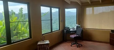 612 Street Bo. Don Alonso Sector Bujosa Utuado PR 00641