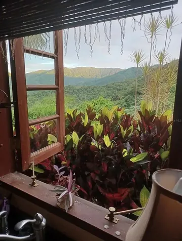 612 Street Bo. Don Alonso Sector Bujosa Utuado PR 00641