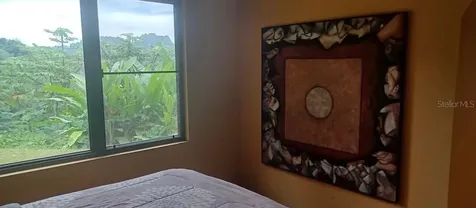 612 Street Bo. Don Alonso Sector Bujosa Utuado PR 00641