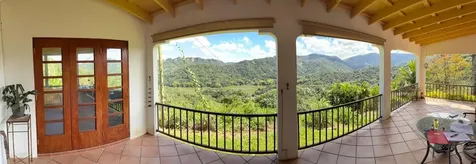 612 Street Bo. Don Alonso Sector Bujosa Utuado PR 00641