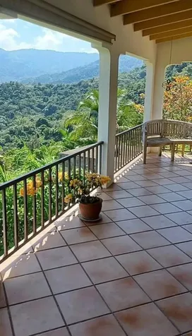 612 Street Bo. Don Alonso Sector Bujosa Utuado PR 00641