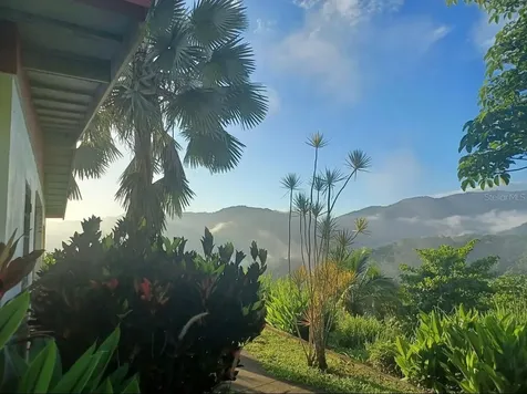 612 Street Bo. Don Alonso Sector Bujosa Utuado PR 00641
