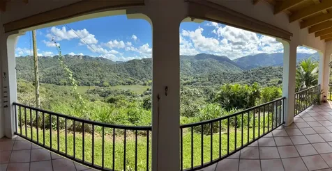 612 Street Bo. Don Alonso Sector Bujosa Utuado PR 00641