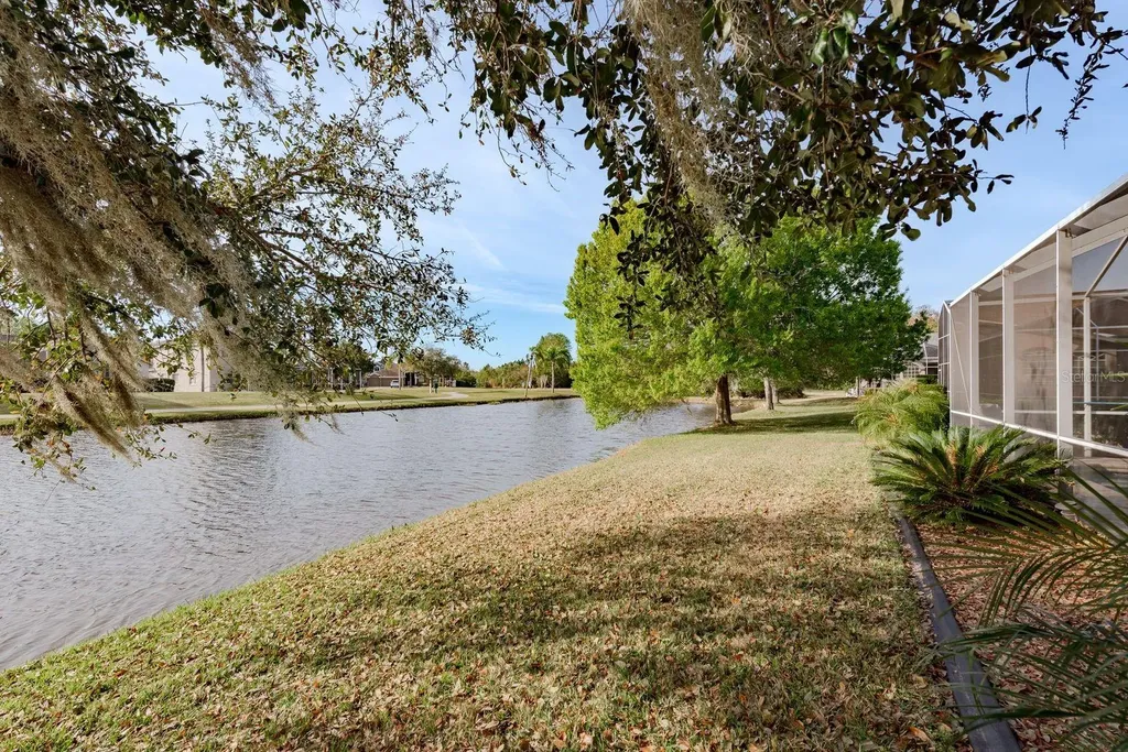 19216 Inlet Cove Court Lutz FL 33558