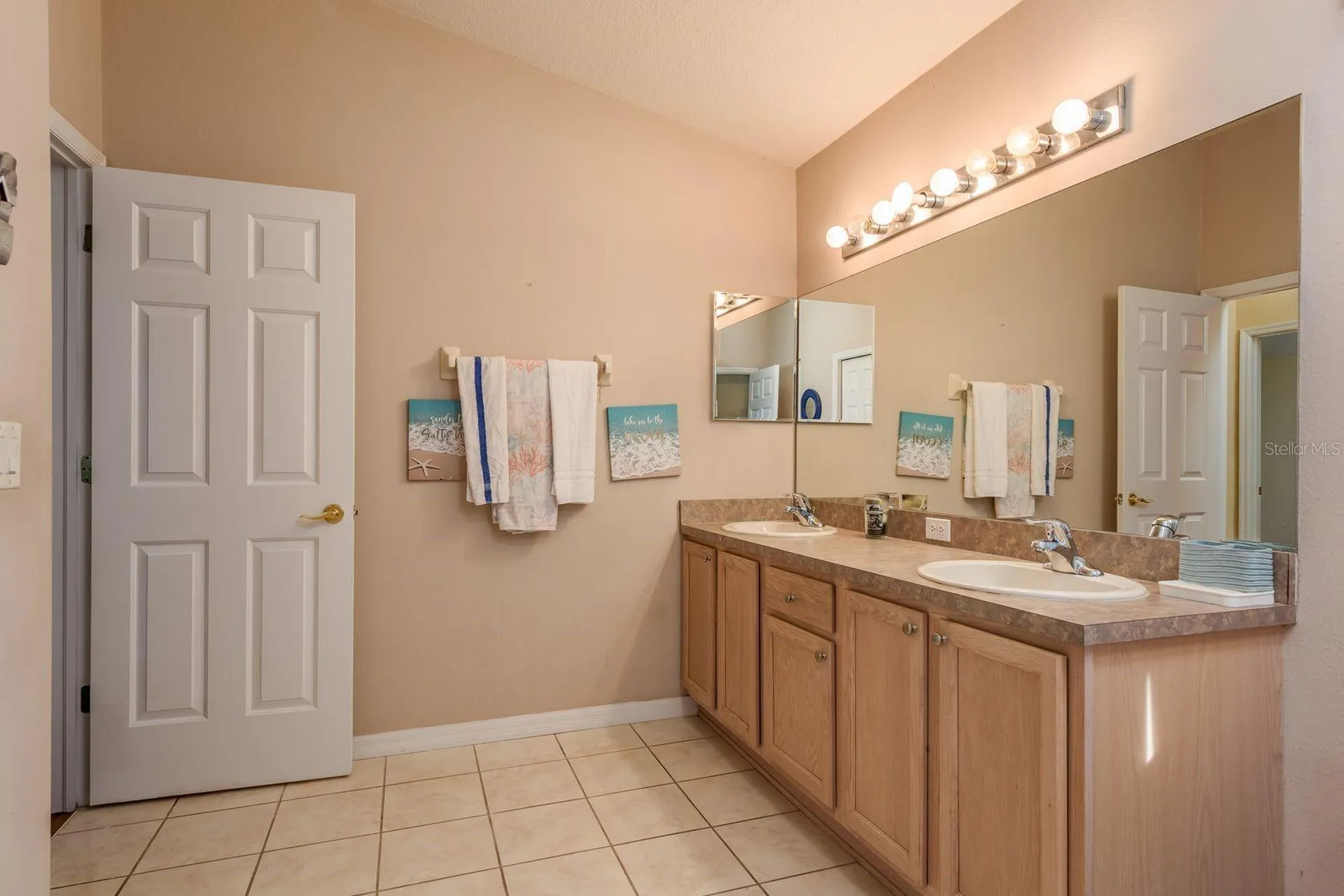 19216 Inlet Cove Court Lutz FL 33558