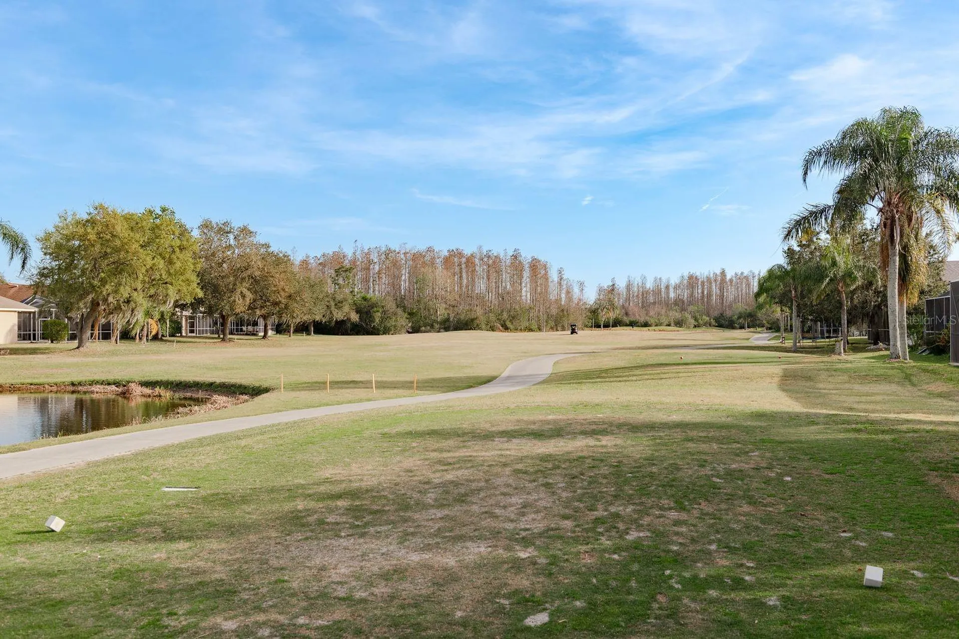 19216 Inlet Cove Court Lutz FL 33558
