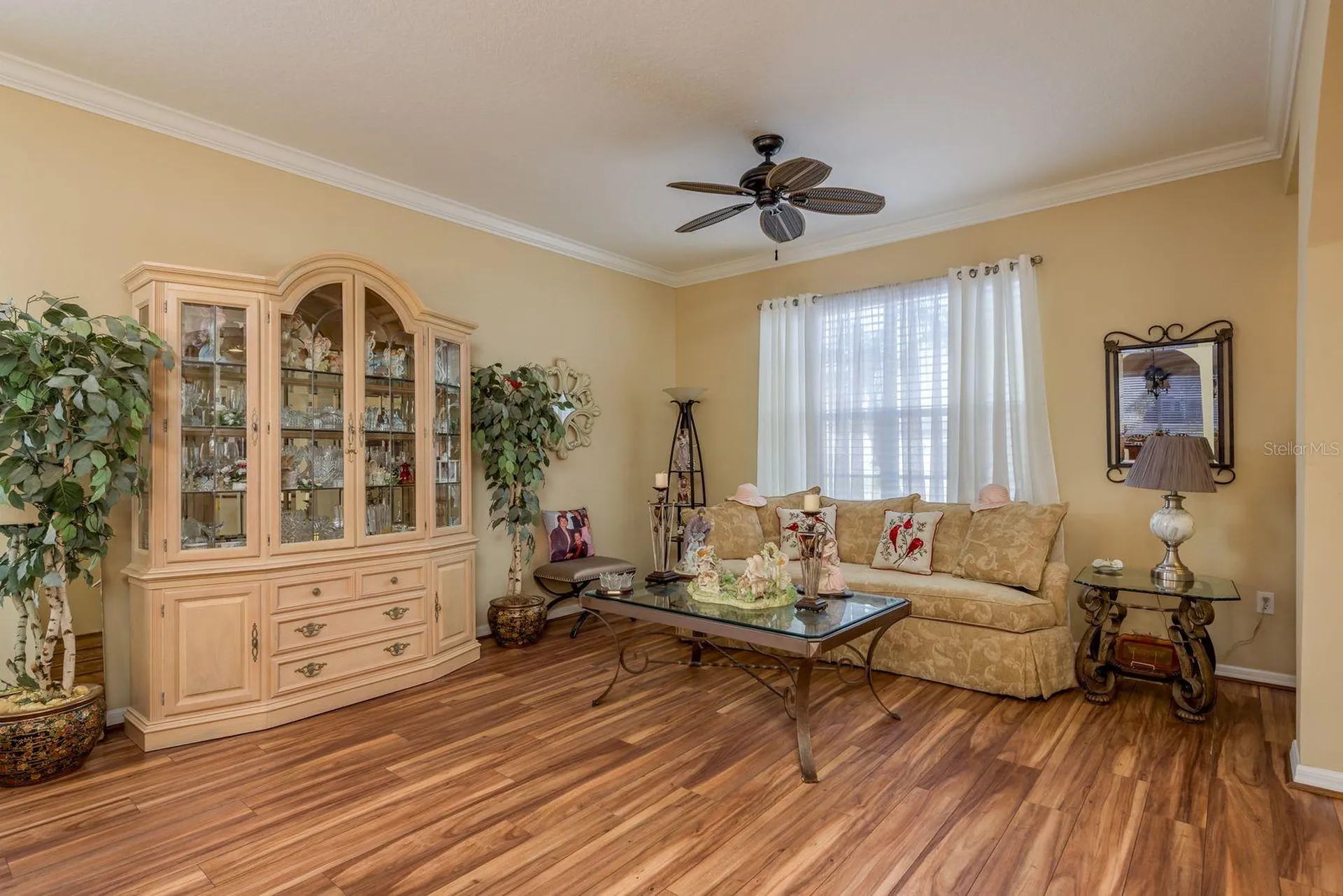 19216 Inlet Cove Court Lutz FL 33558