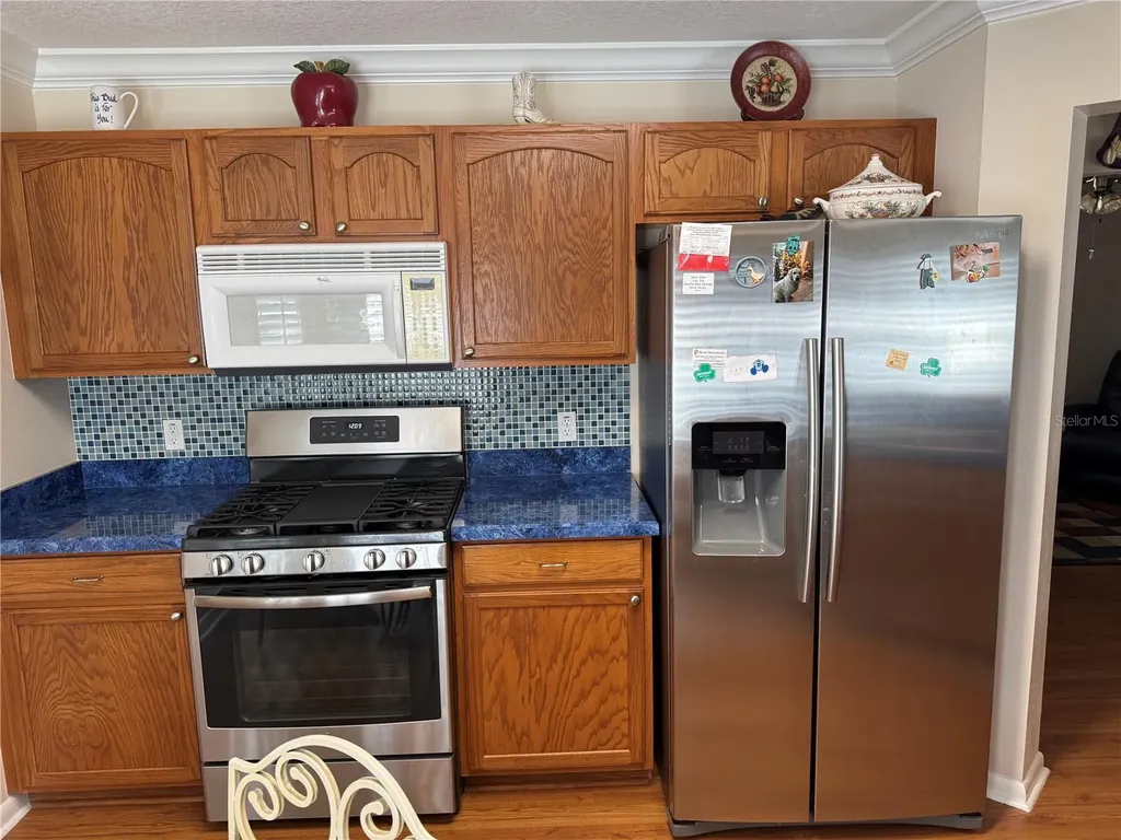 9711 SW 92nd Place Road Ocala FL 34481