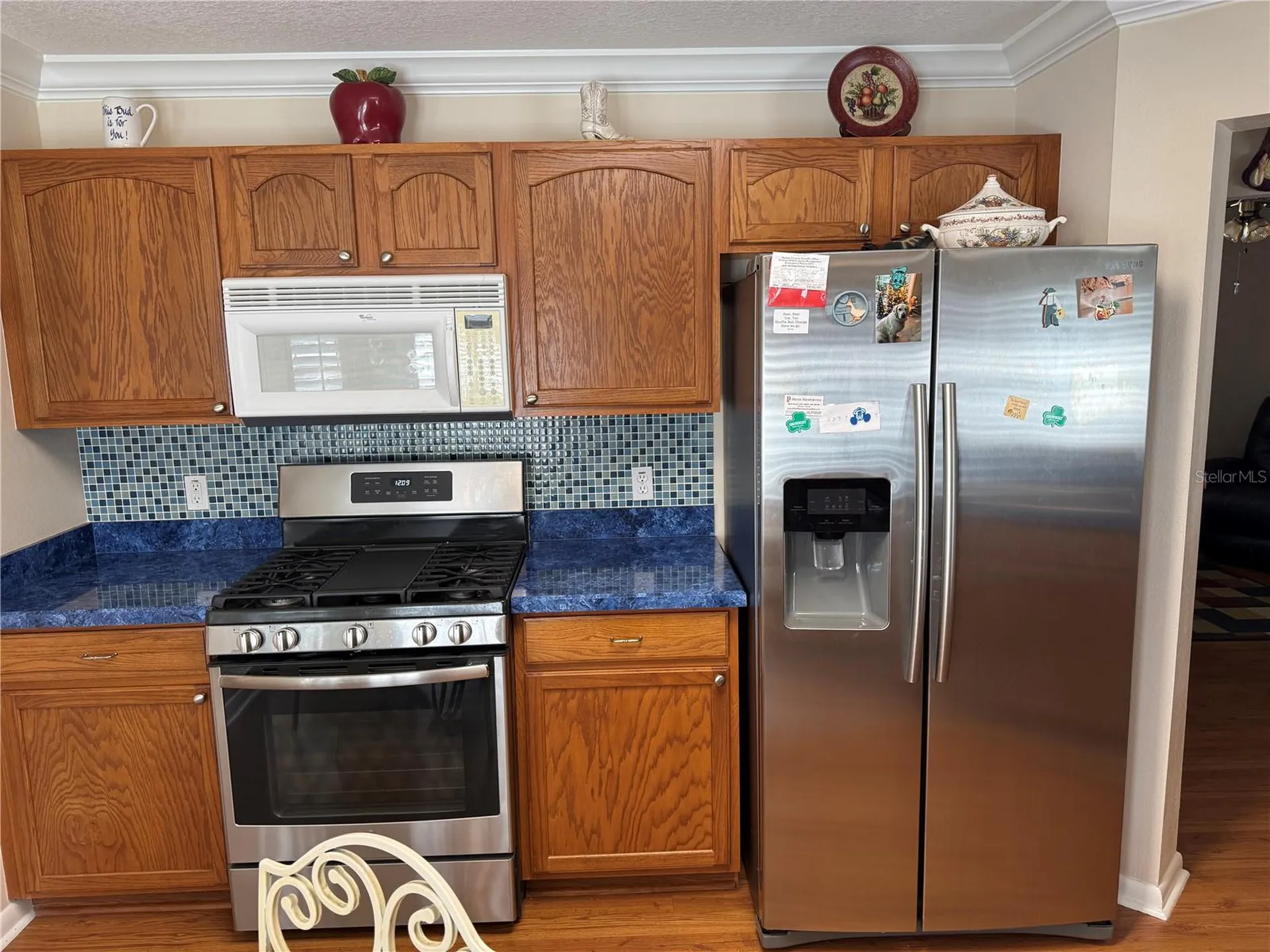 9711 SW 92nd Place Road Ocala FL 34481
