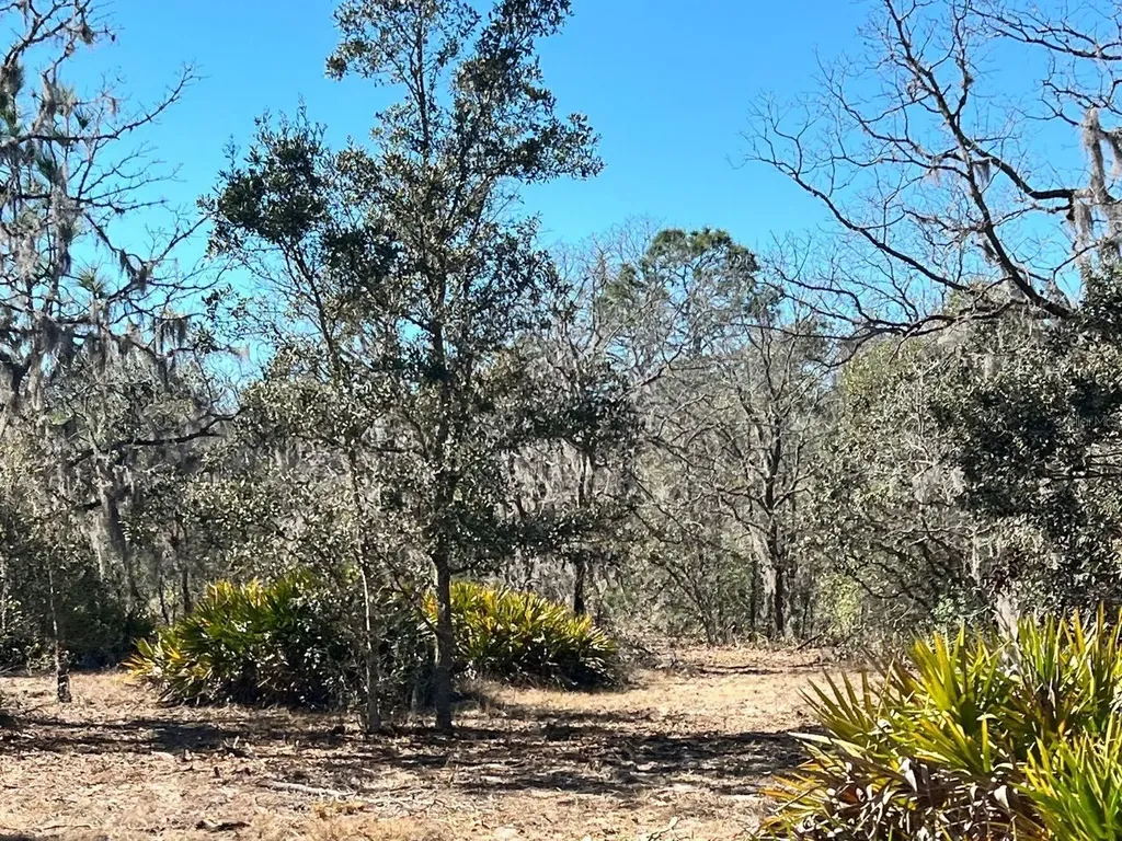 6199 W Peking Court Dunnellon FL 34433