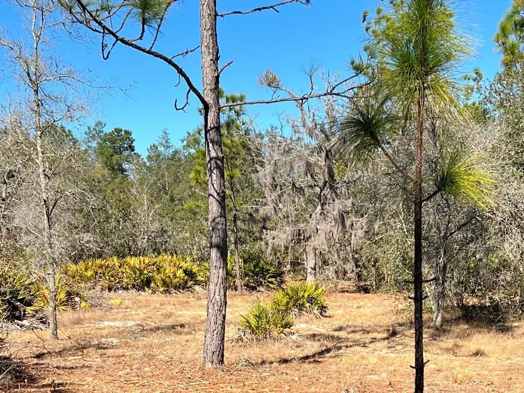 6199 W Peking Court Dunnellon FL 34433