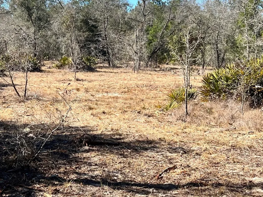 6199 W Peking Court Dunnellon FL 34433