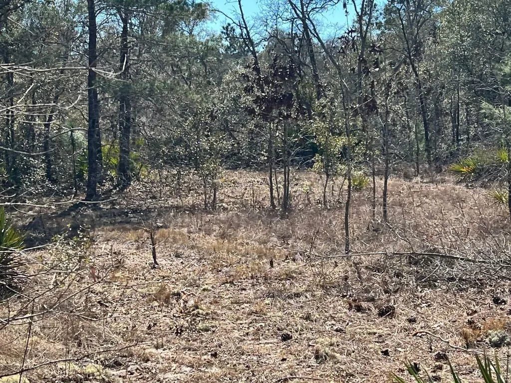 6199 W Peking Court Dunnellon FL 34433