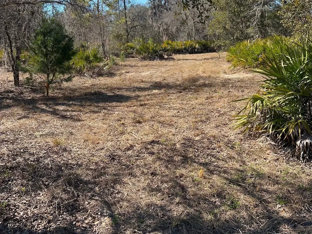 6199 W Peking Court Dunnellon FL 34433