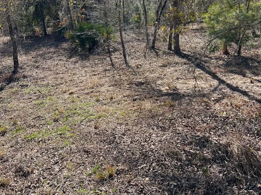 6199 W Peking Court Dunnellon FL 34433