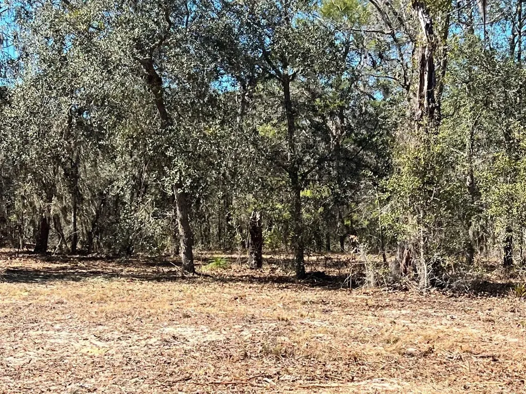 6199 W Peking Court Dunnellon FL 34433