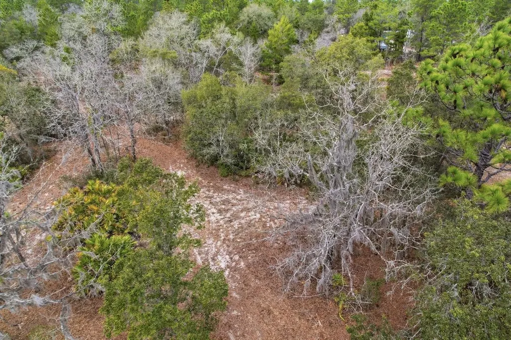 6199 W Peking Court Dunnellon FL 34433