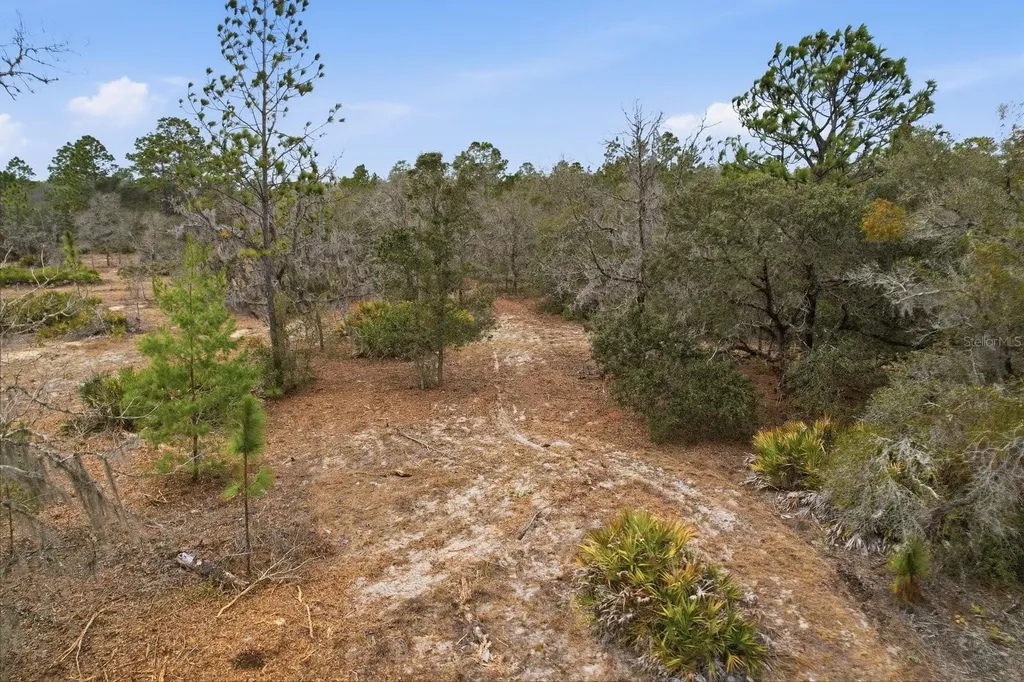 6199 W Peking Court Dunnellon FL 34433