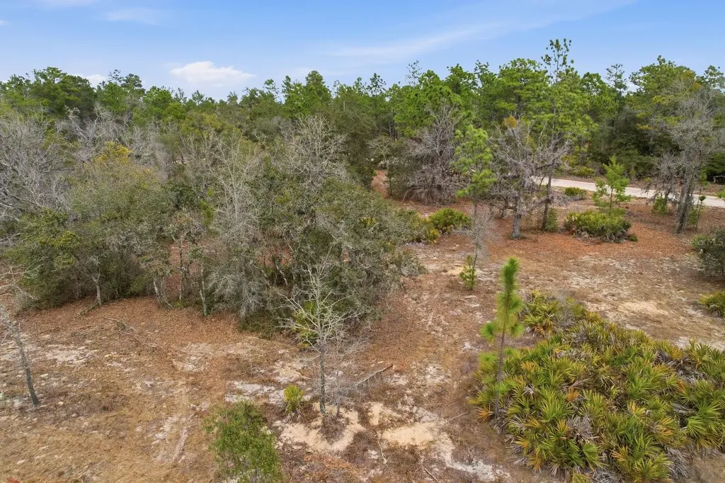 6199 W Peking Court Dunnellon FL 34433