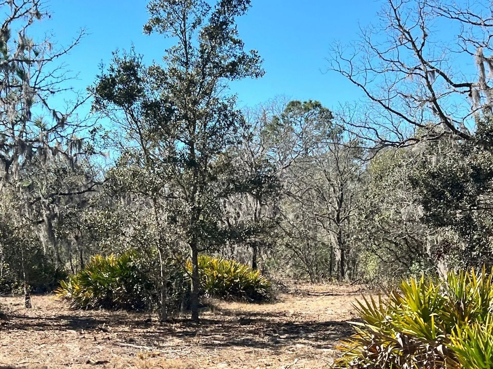 6199 W Peking Court Dunnellon FL 34433