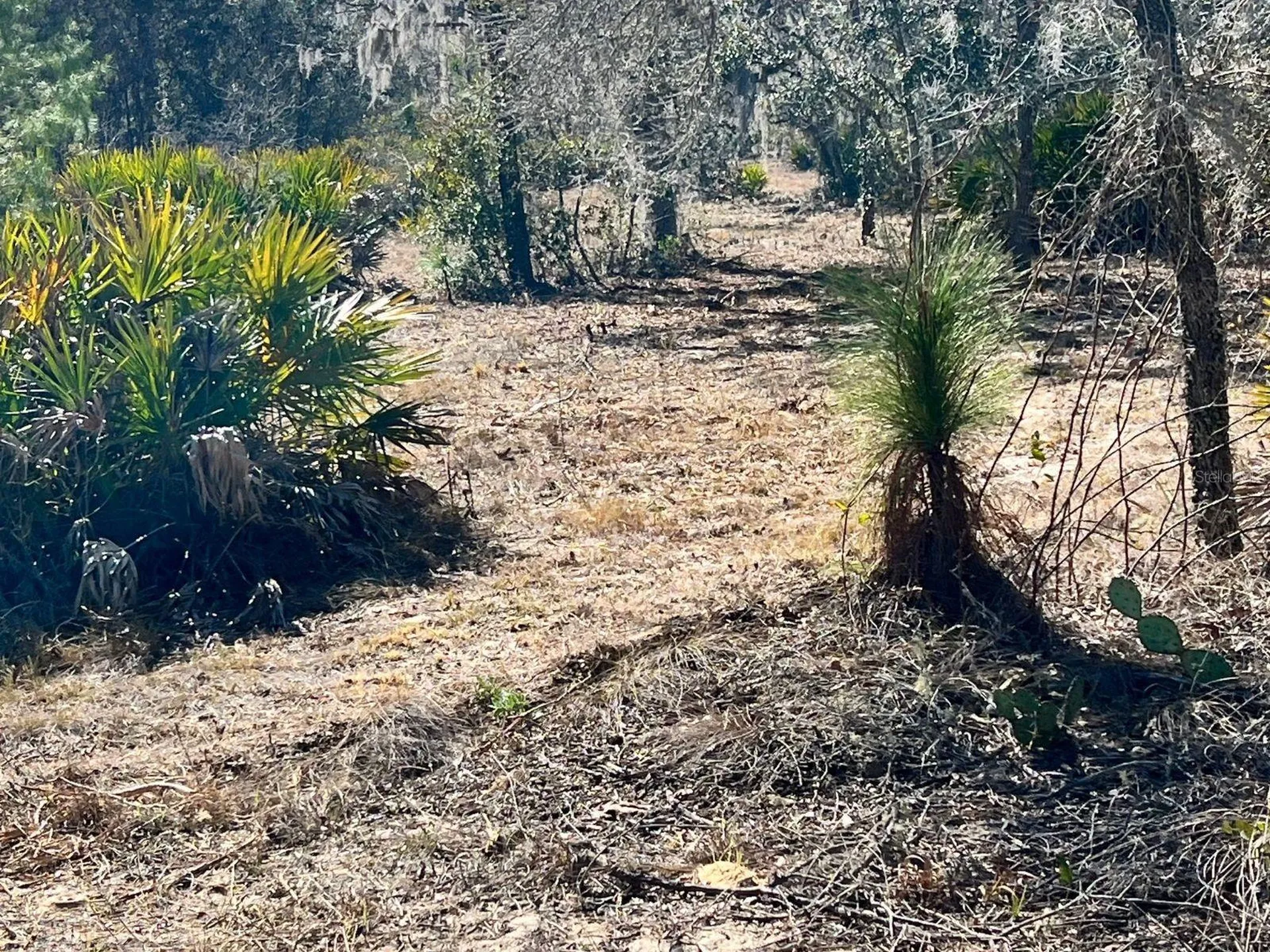 6199 W Peking Court Dunnellon FL 34433