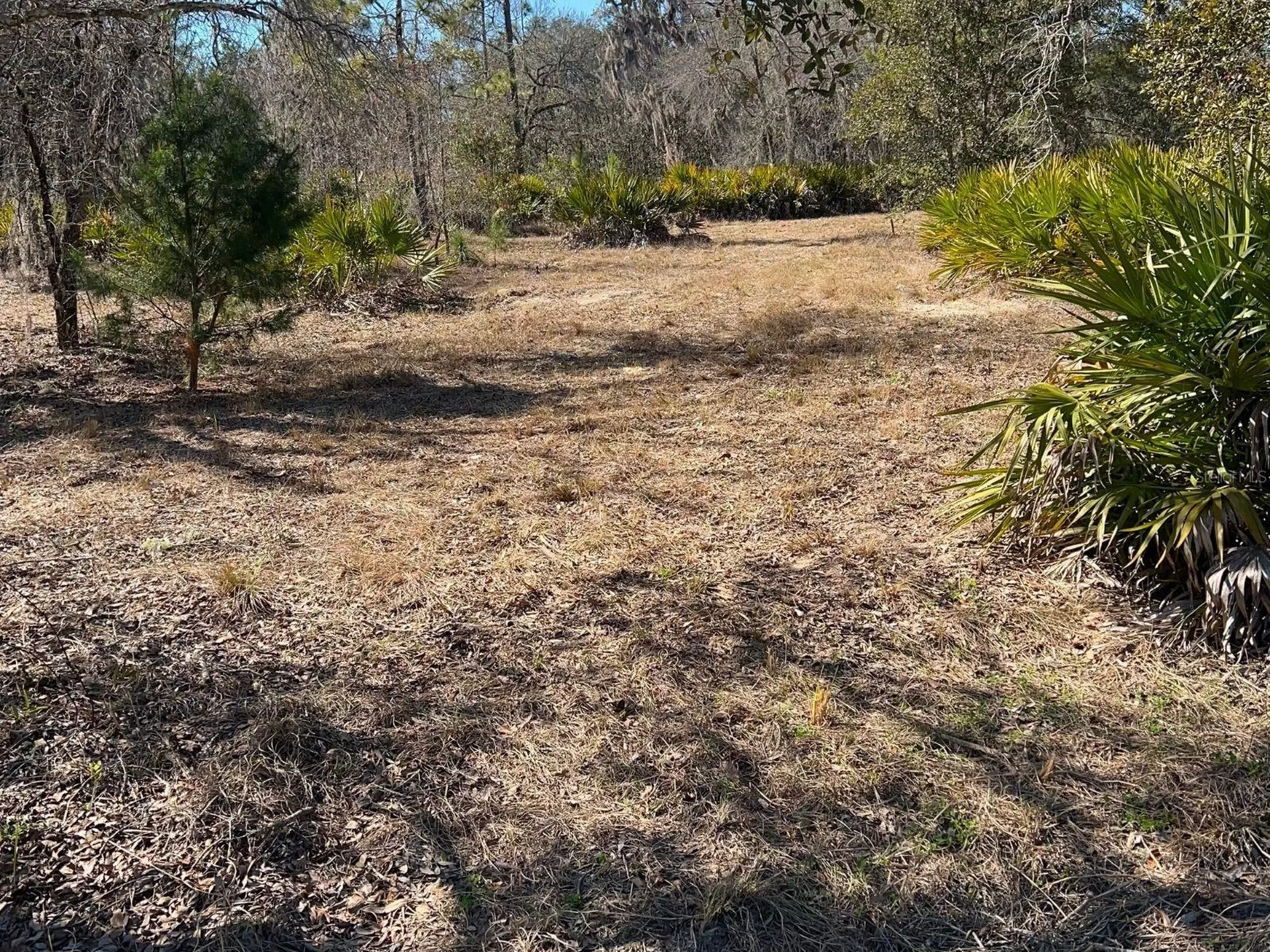 6199 W Peking Court Dunnellon FL 34433