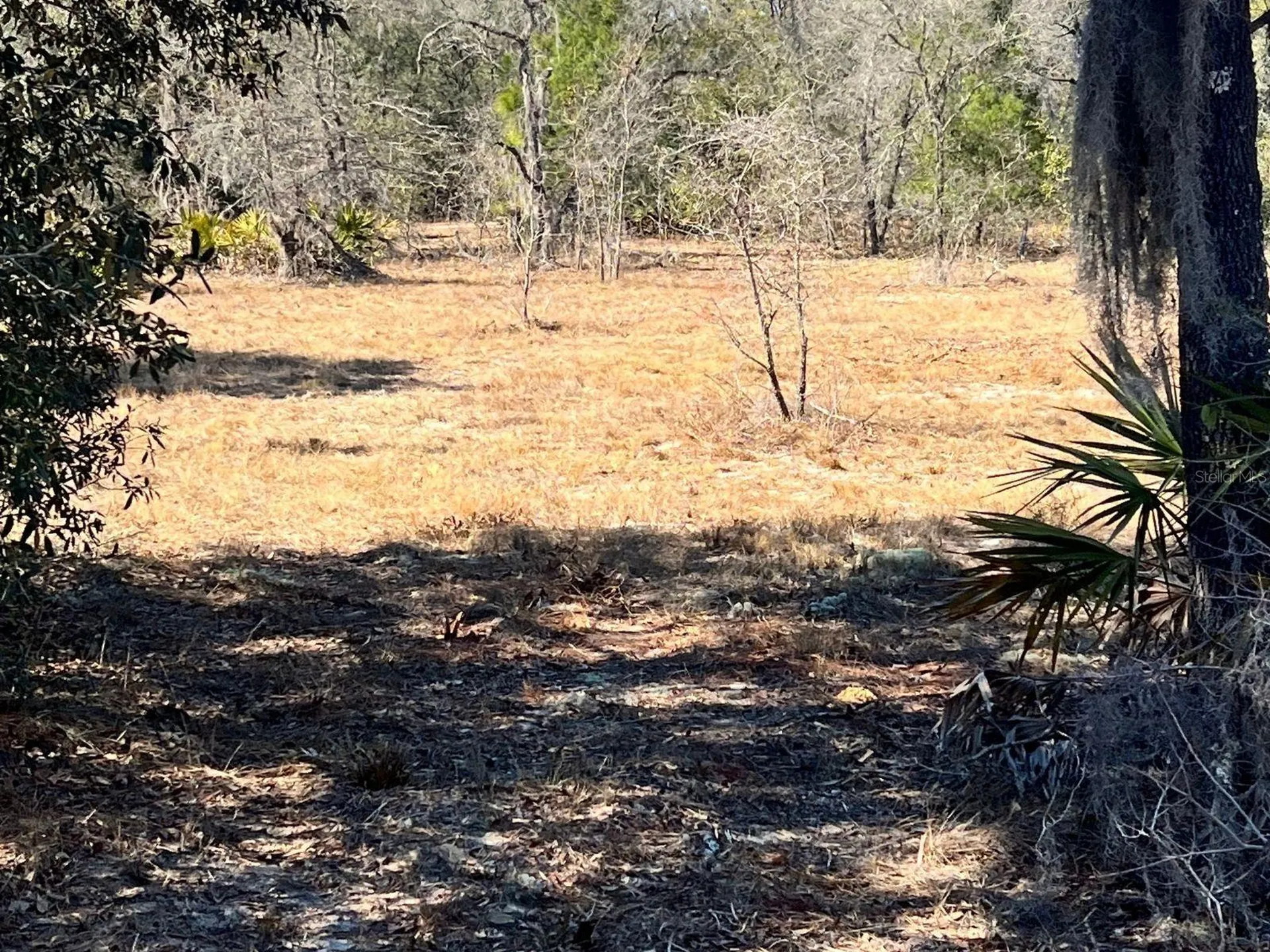 6199 W Peking Court Dunnellon FL 34433
