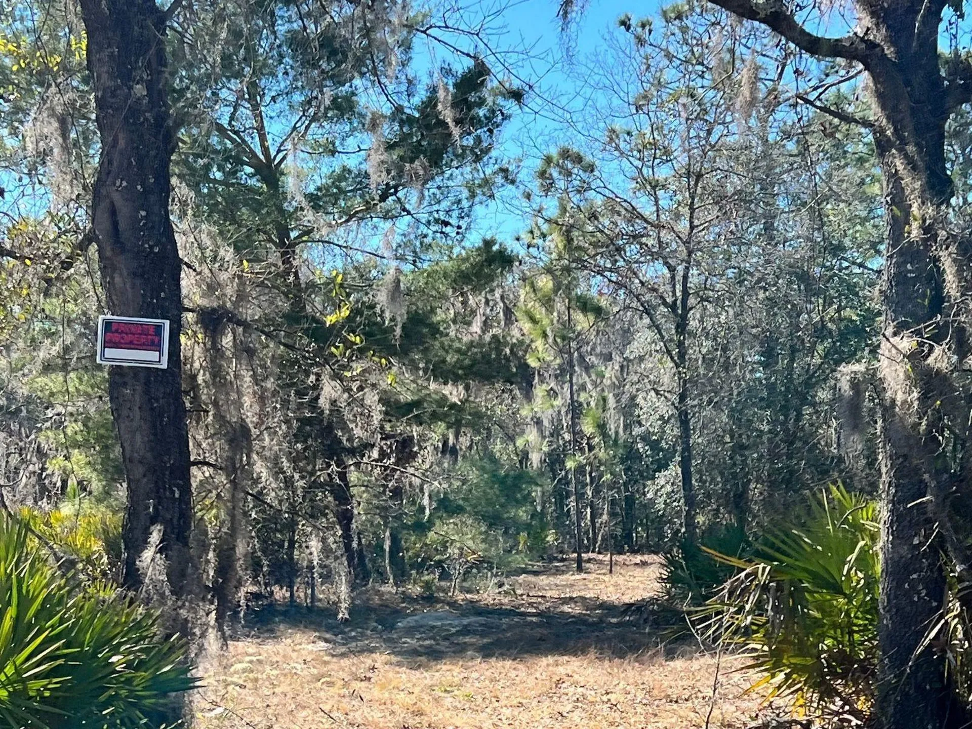6199 W Peking Court Dunnellon FL 34433
